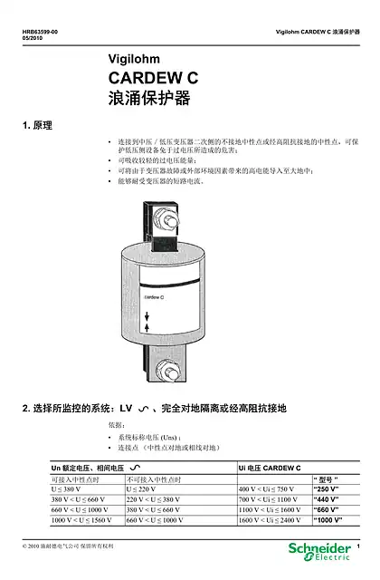 schneider施耐德Vigilohm CARDEW C 浪涌保护器